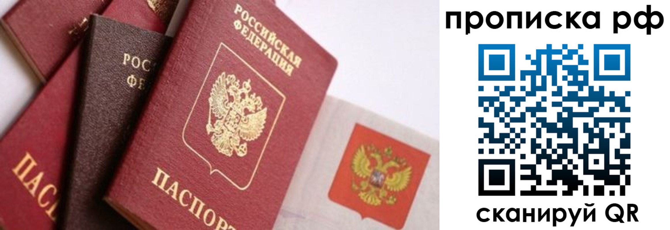 найти адрес прописки в Вельске